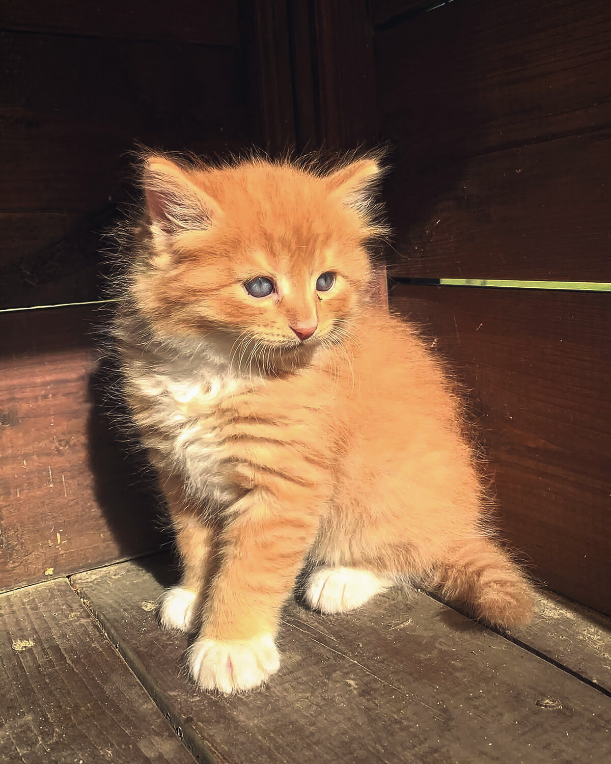 Photo #14055174