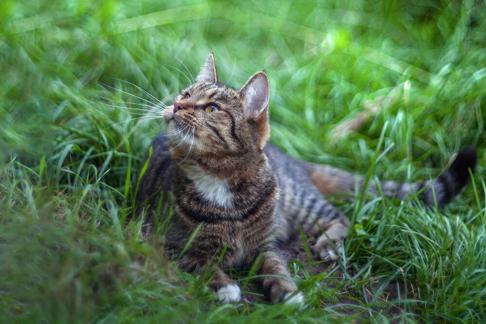Photograph by Ирина Заколдаева