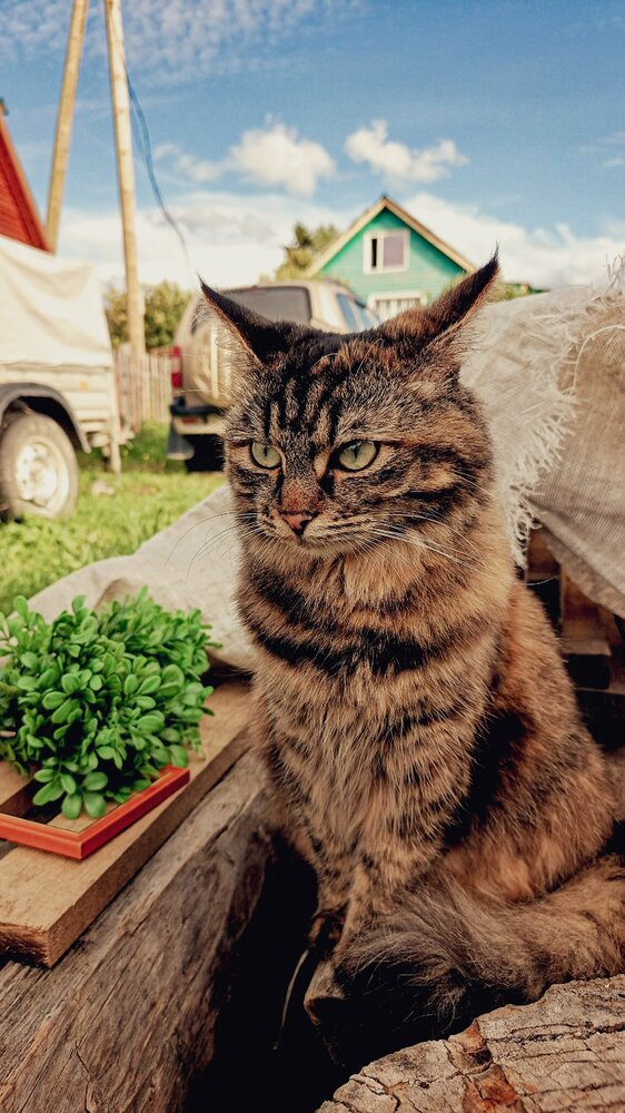 Photograph by Яна Морозова