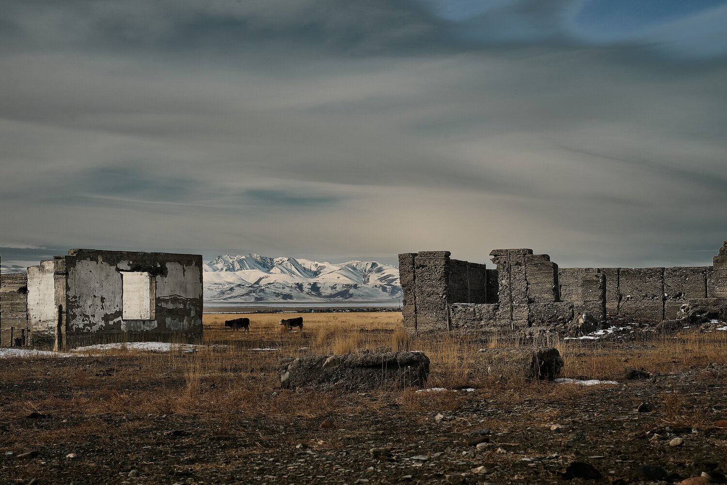 Photo #14055255
