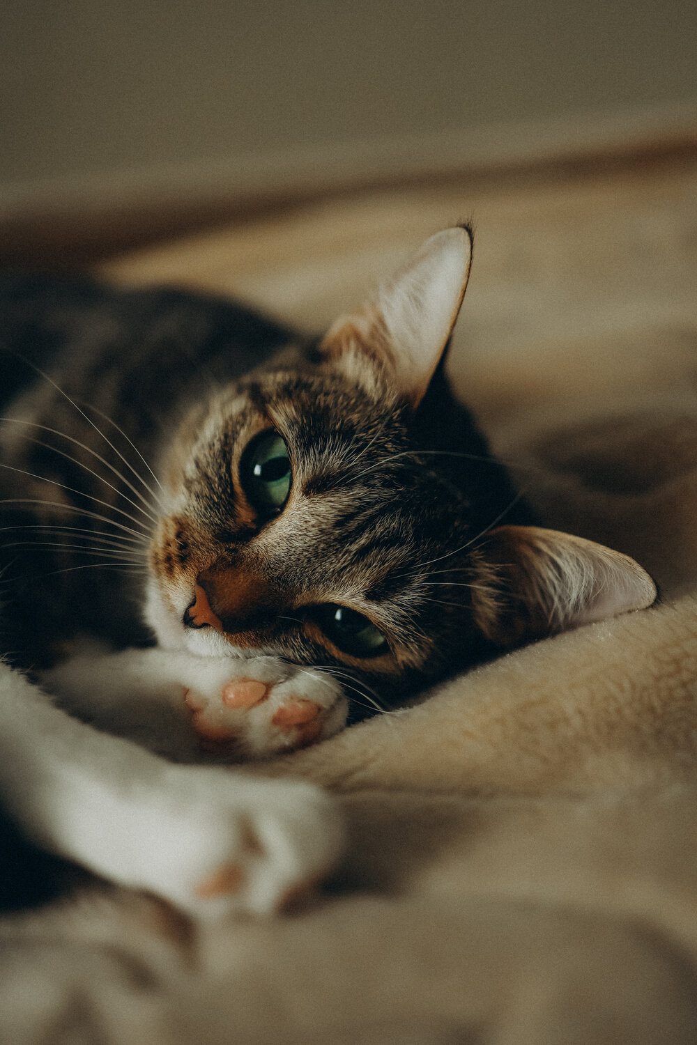 Photo #14055259