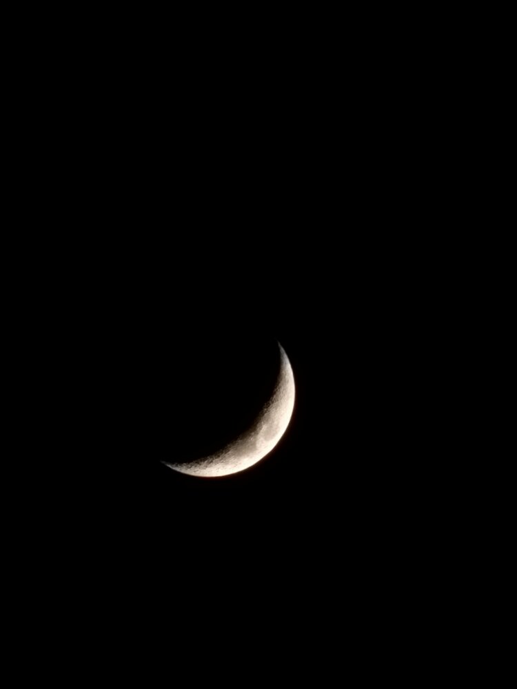 Photograph by esti lahat
