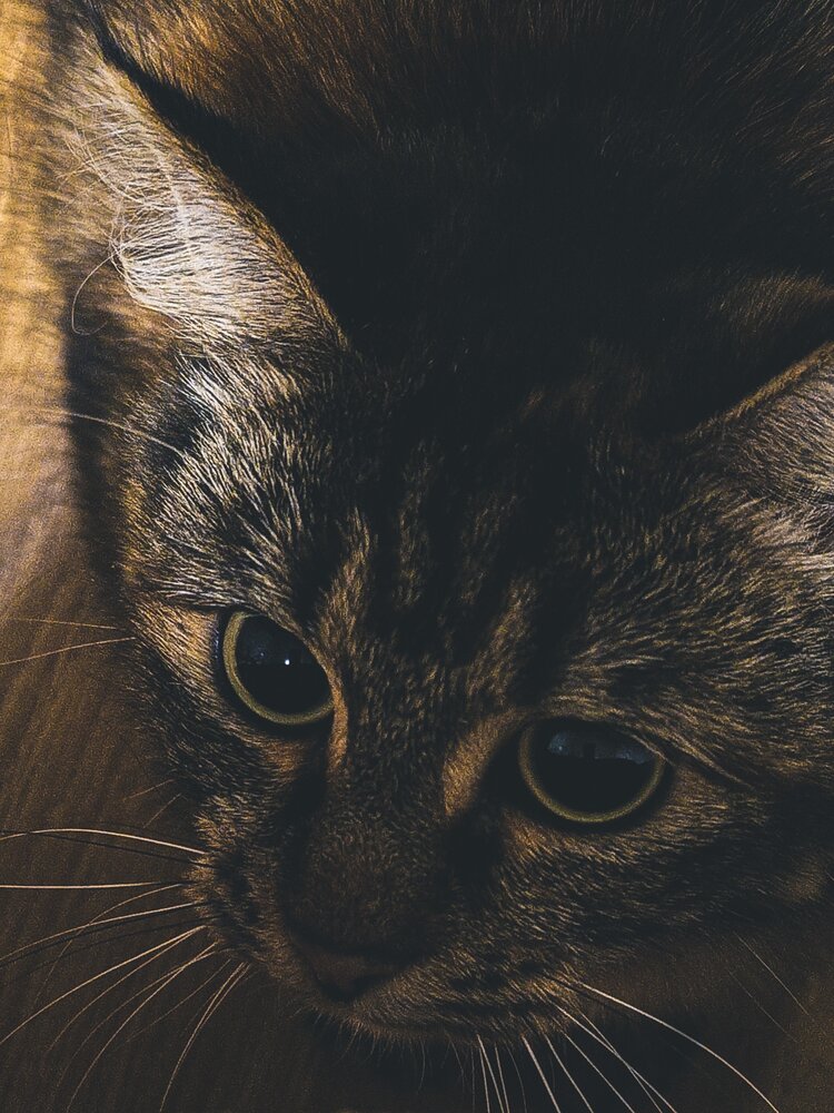 Photograph by Яна Морозова