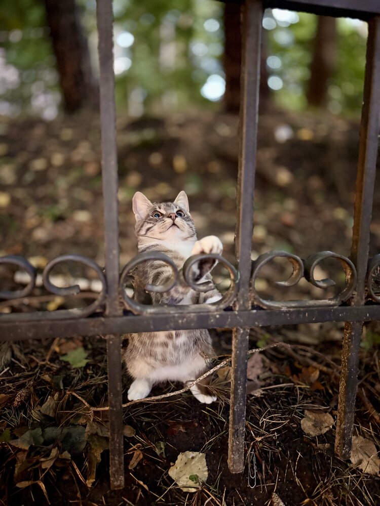 Photograph by Ольга