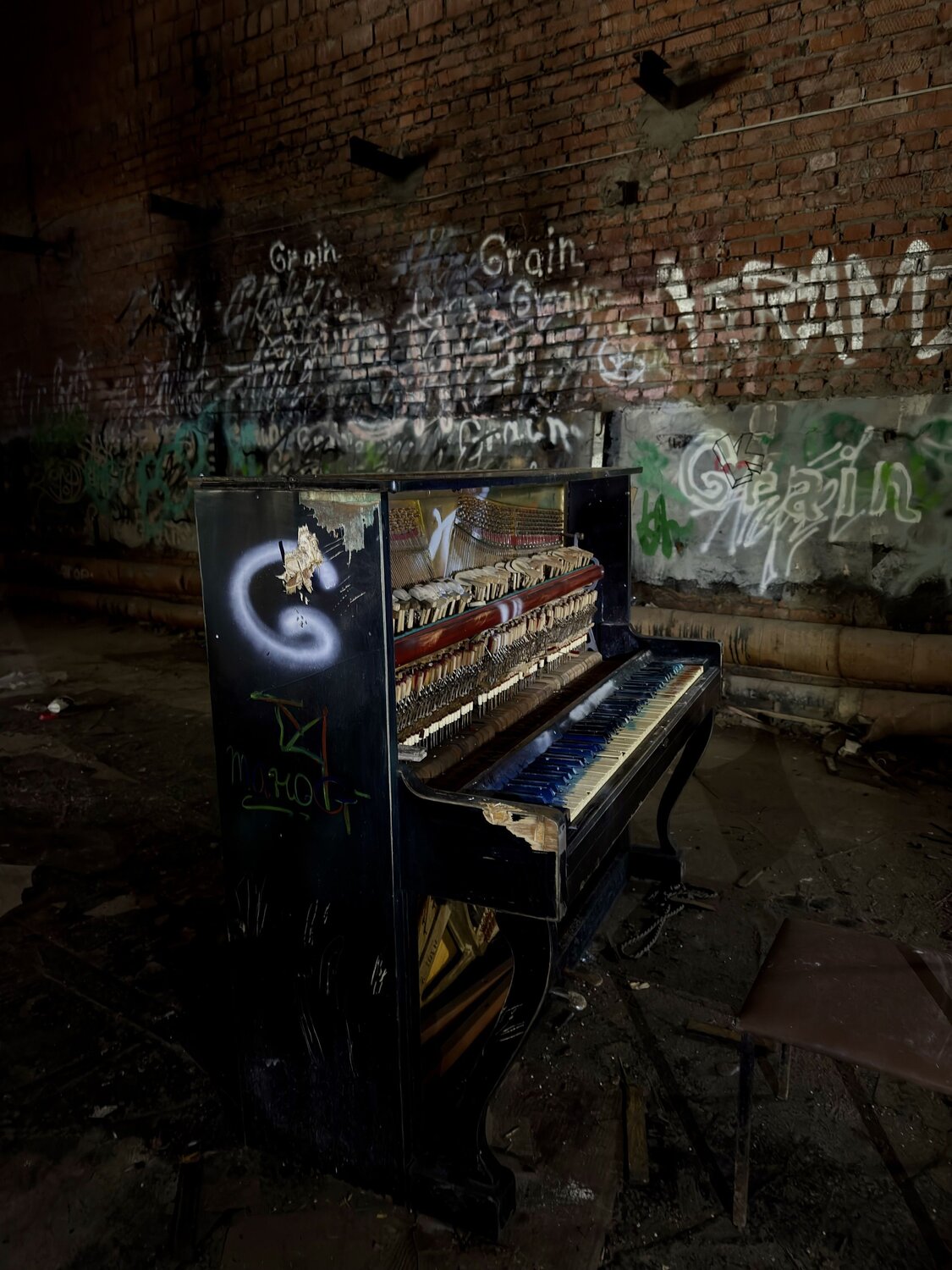 Photo #14055299