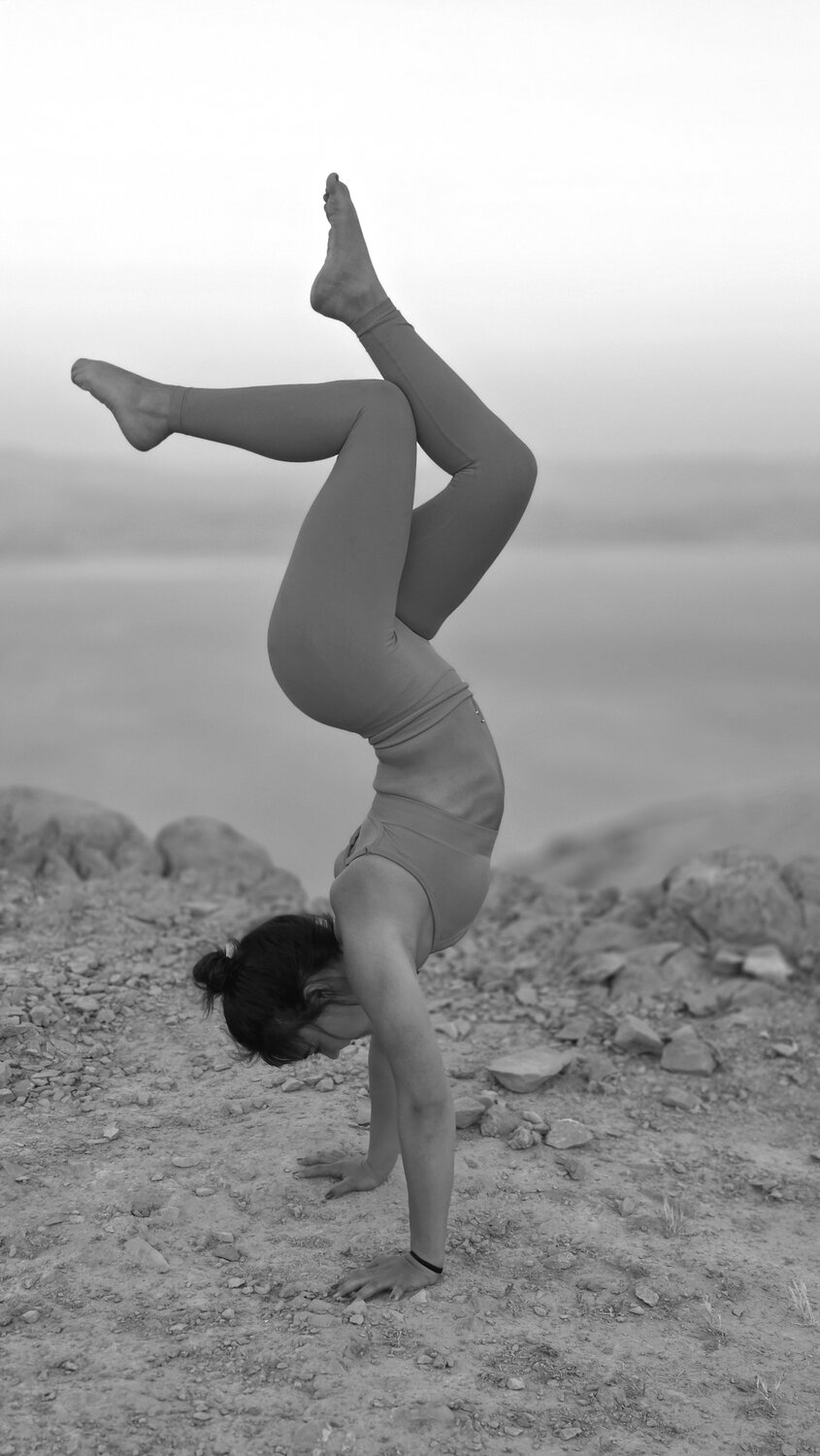Photo #14055302