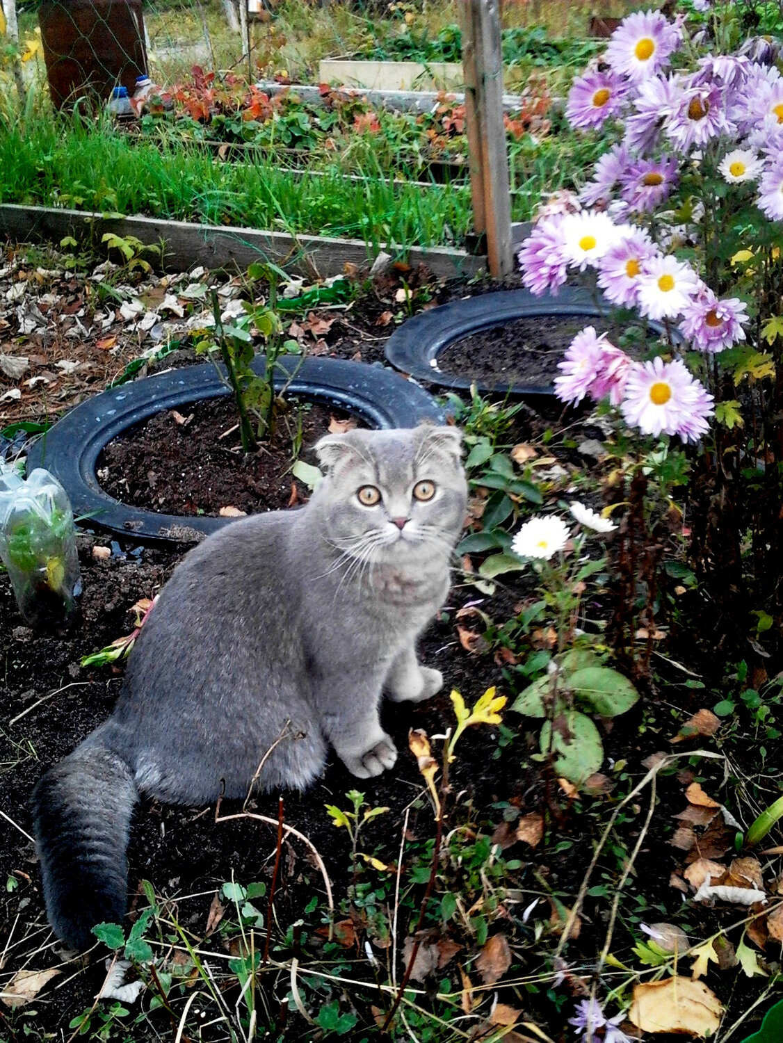 Photo #14055389