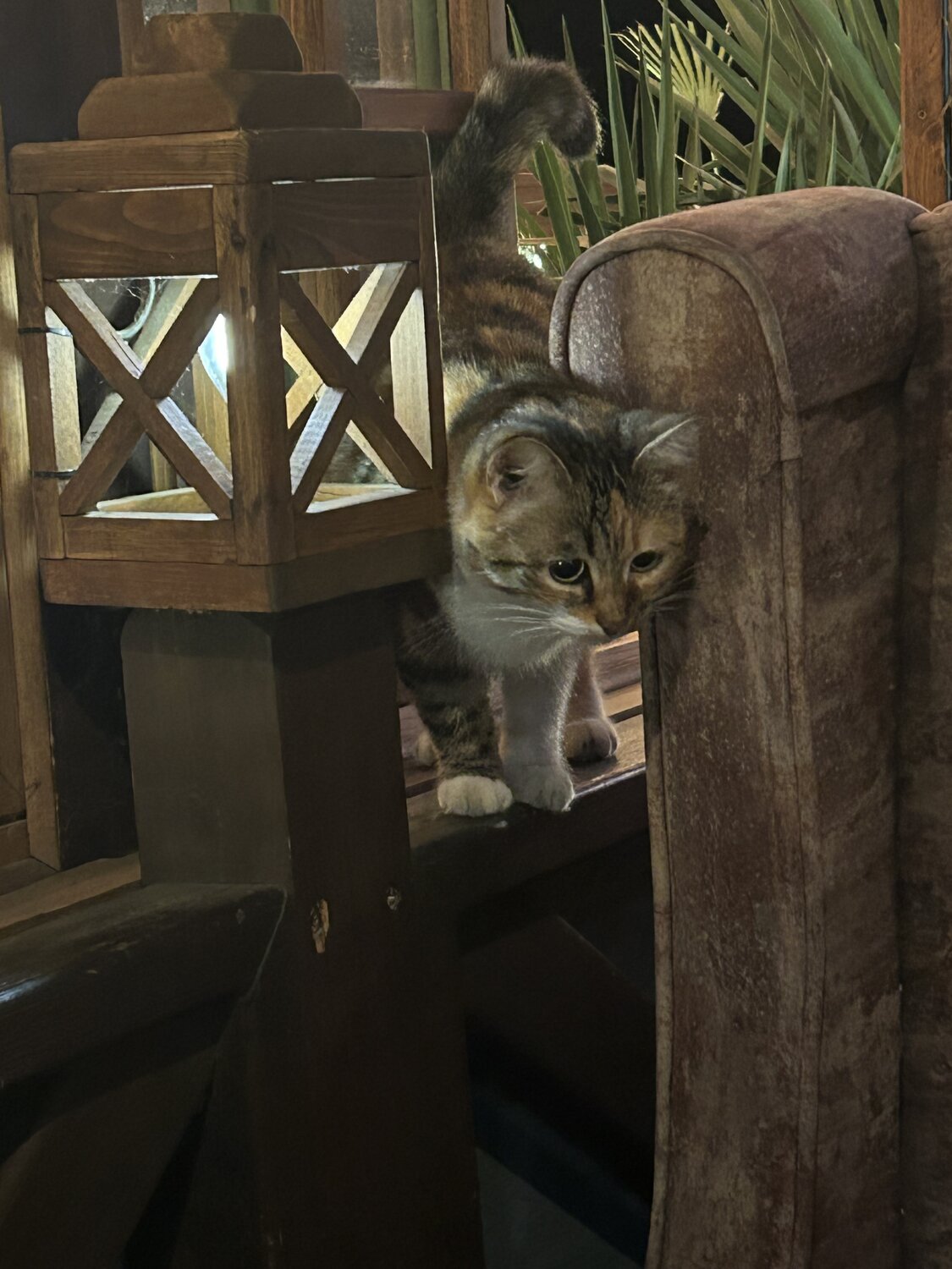 Photo #14055418