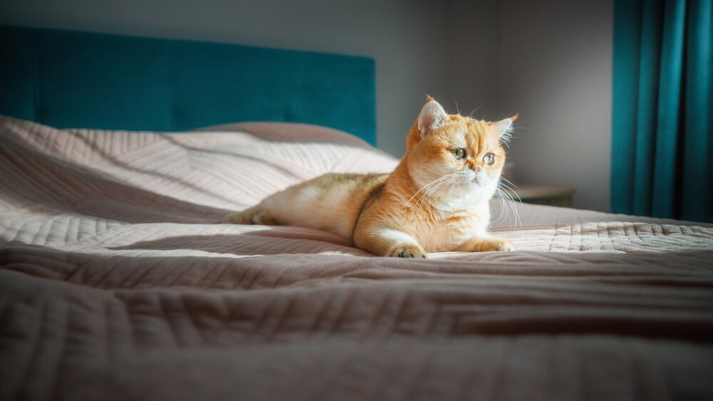Photograph by Белокуров Сергей