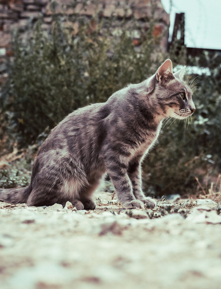 Photograph by Медведева Елена