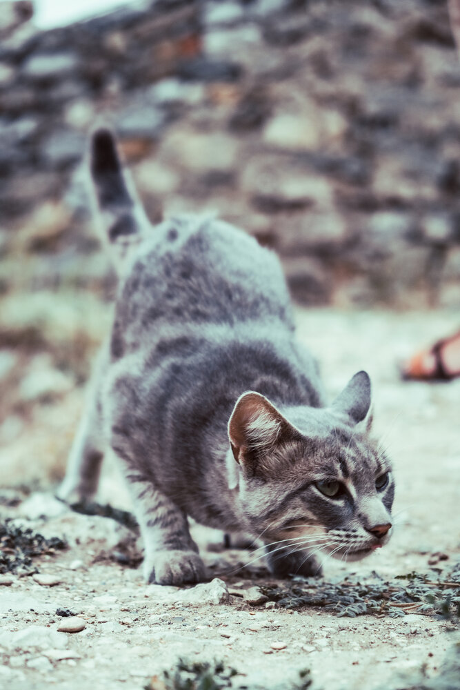 Photograph by Медведева Елена