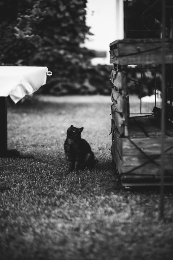 Photograph by Татьяна Савранская