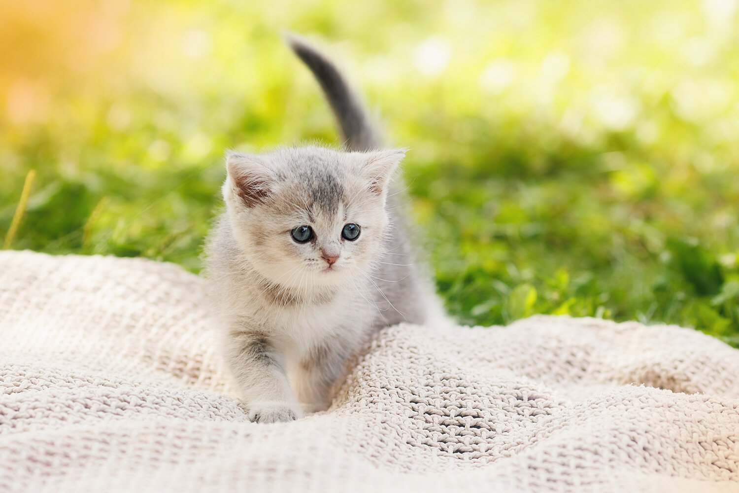 Photo #14055506