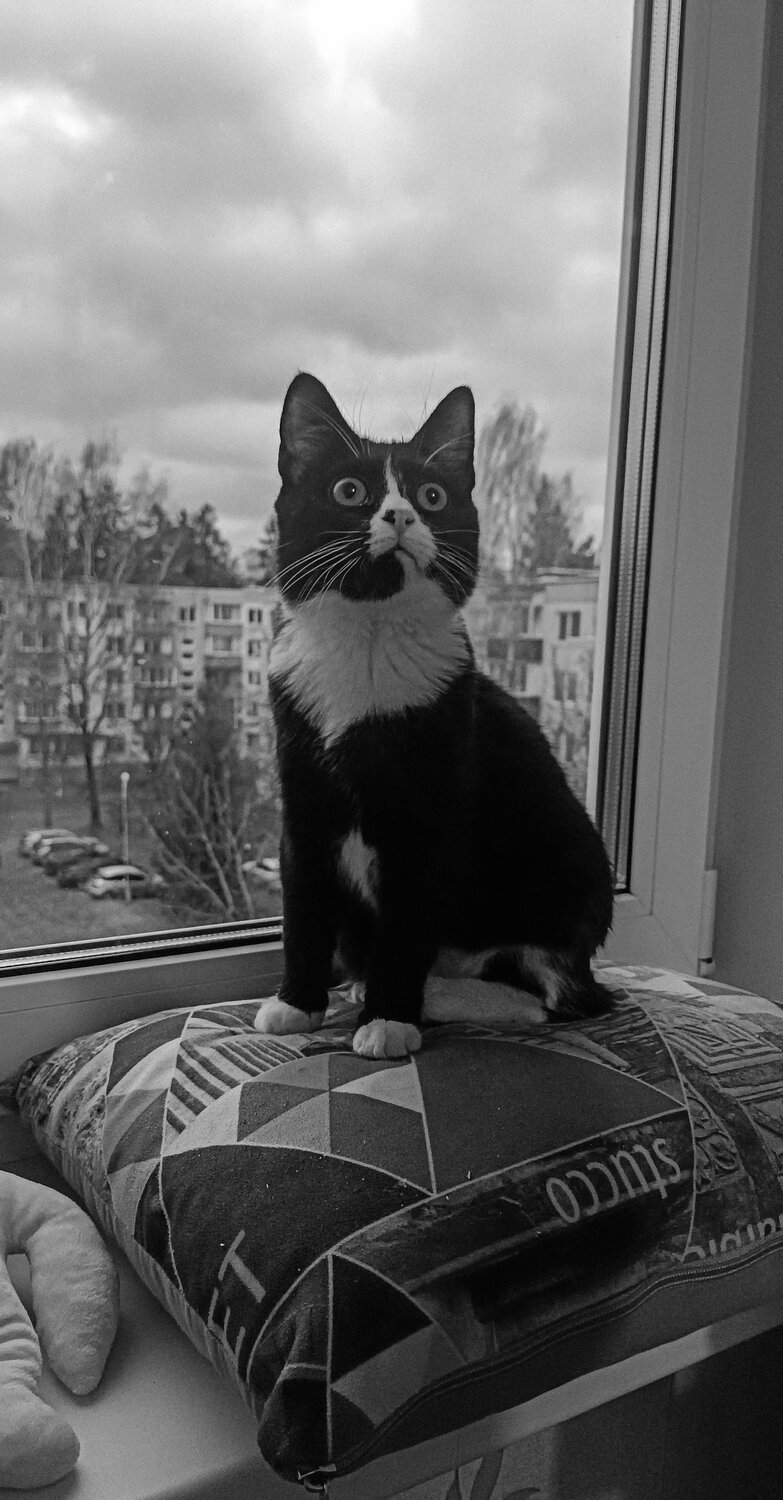 Photo #14055507