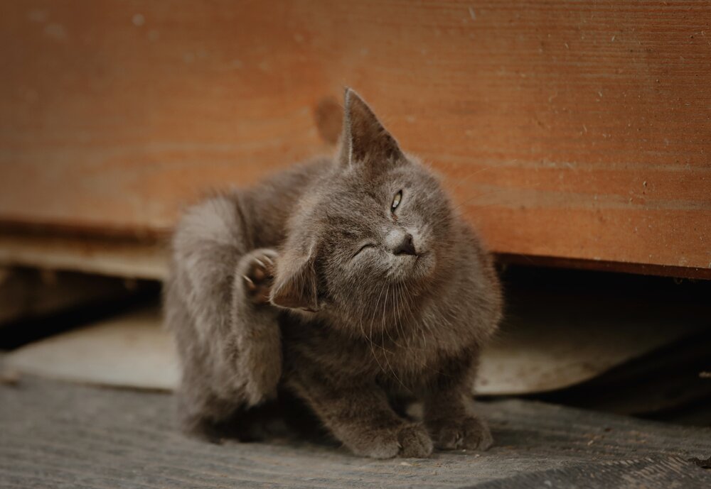 Photograph by Татьяна Слесарева