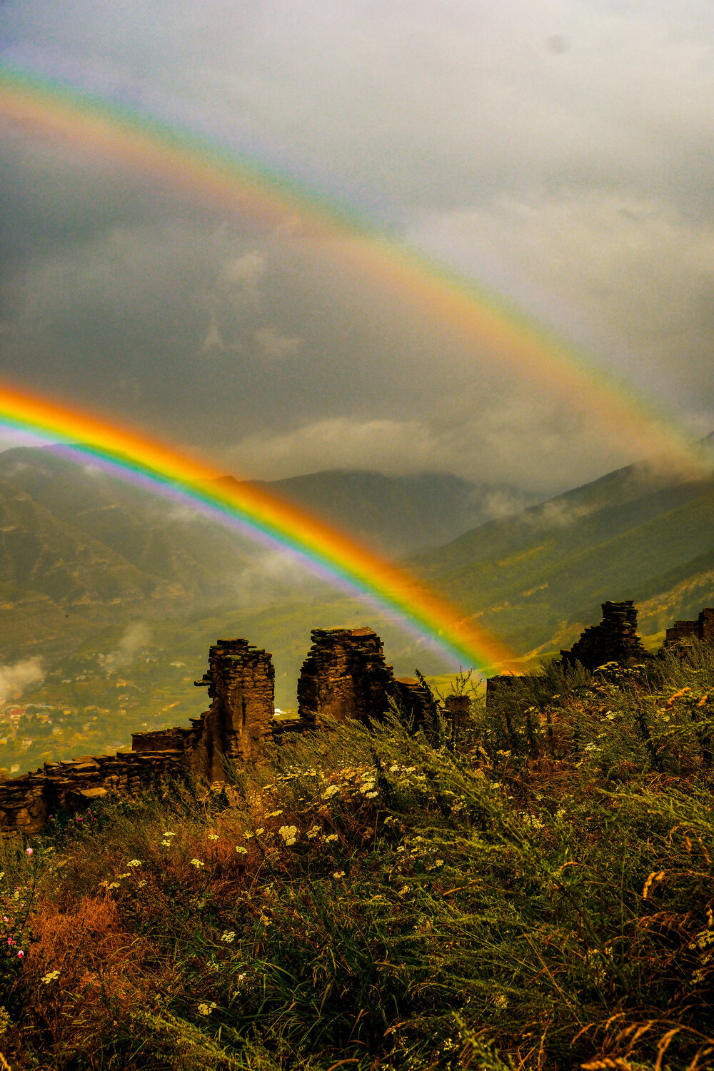 Photo #14055536
