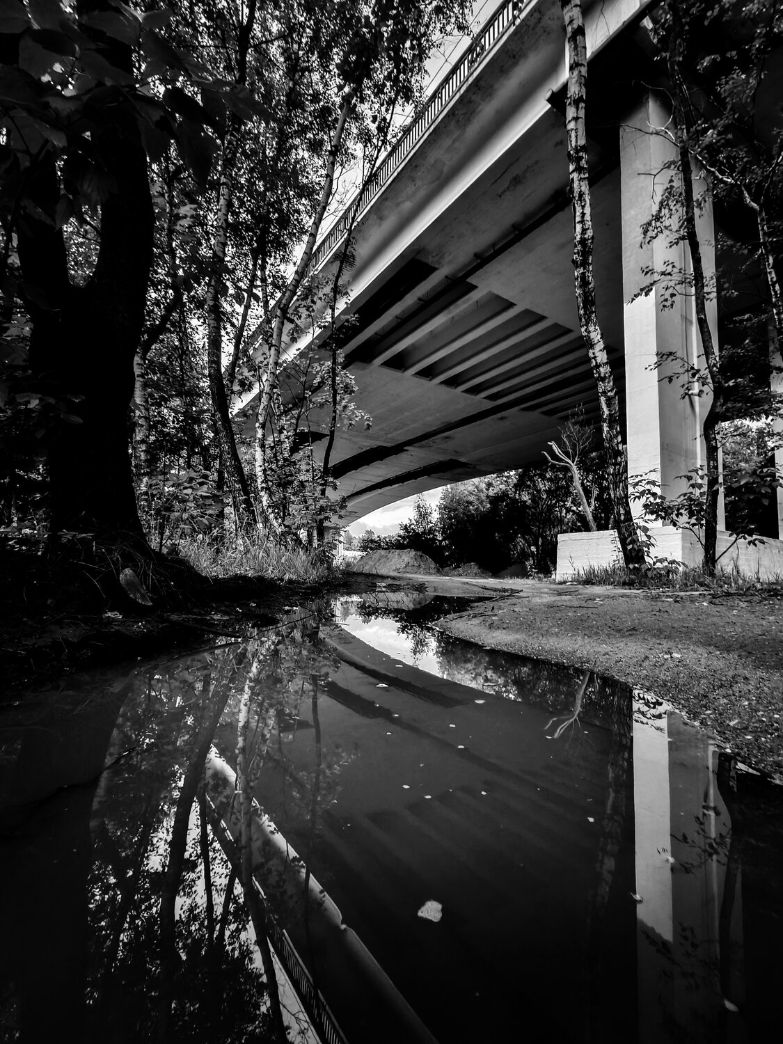 Photo #14055565