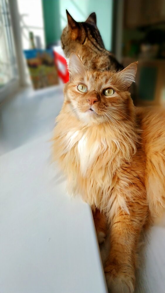 Photograph by Фролова Диляра