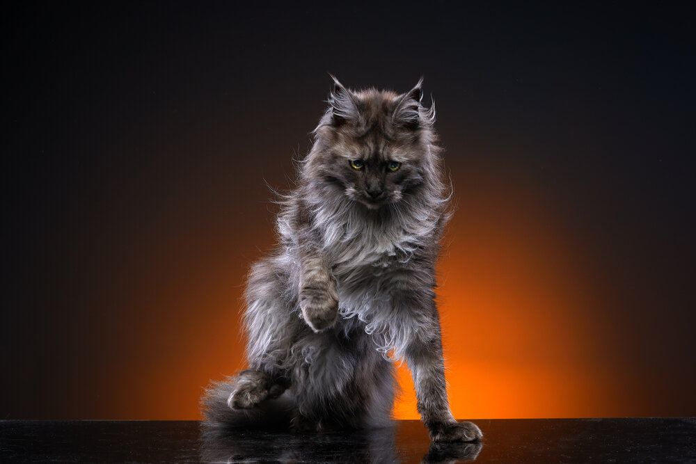 Photograph by Михаил Семенов
