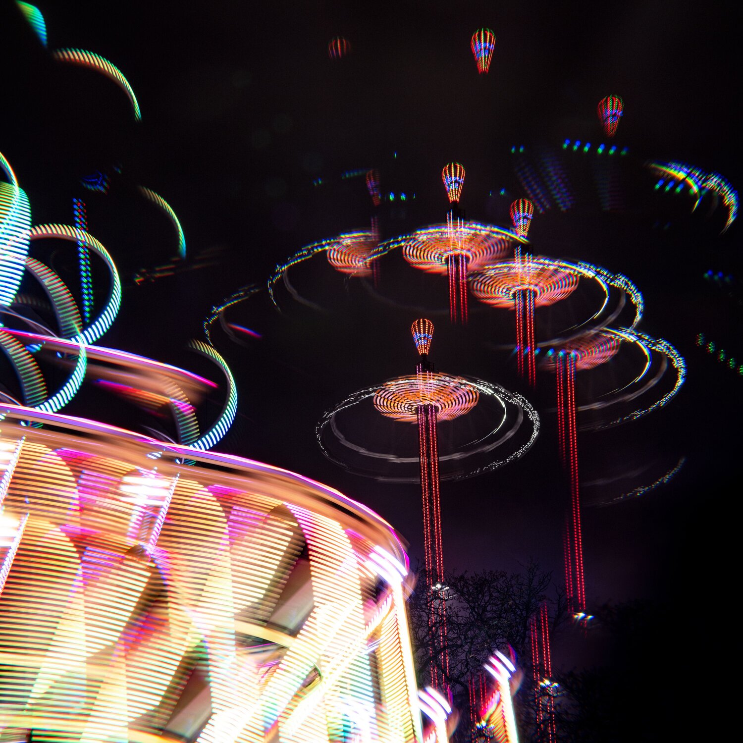 Photo #14055623