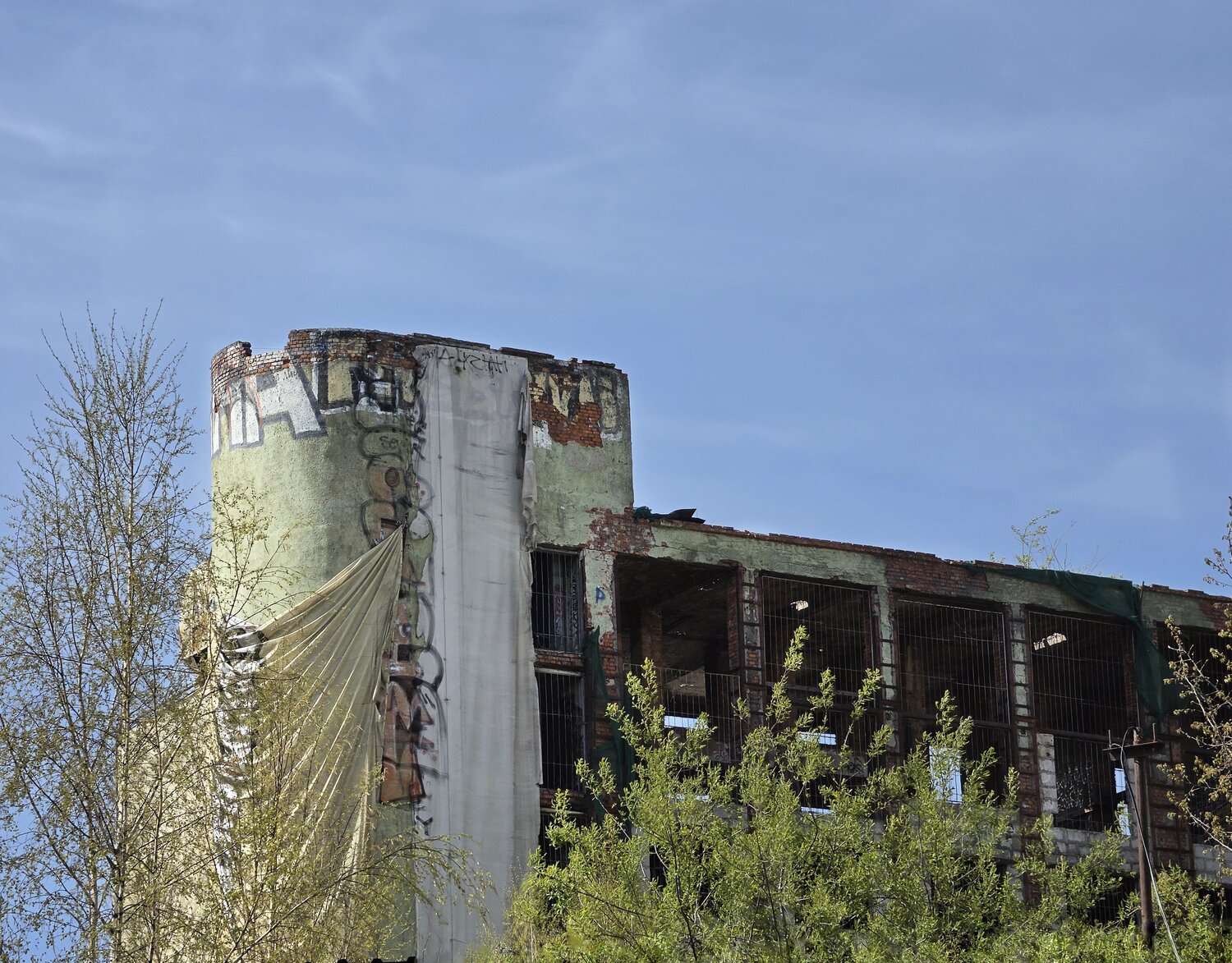 Photo #14055625