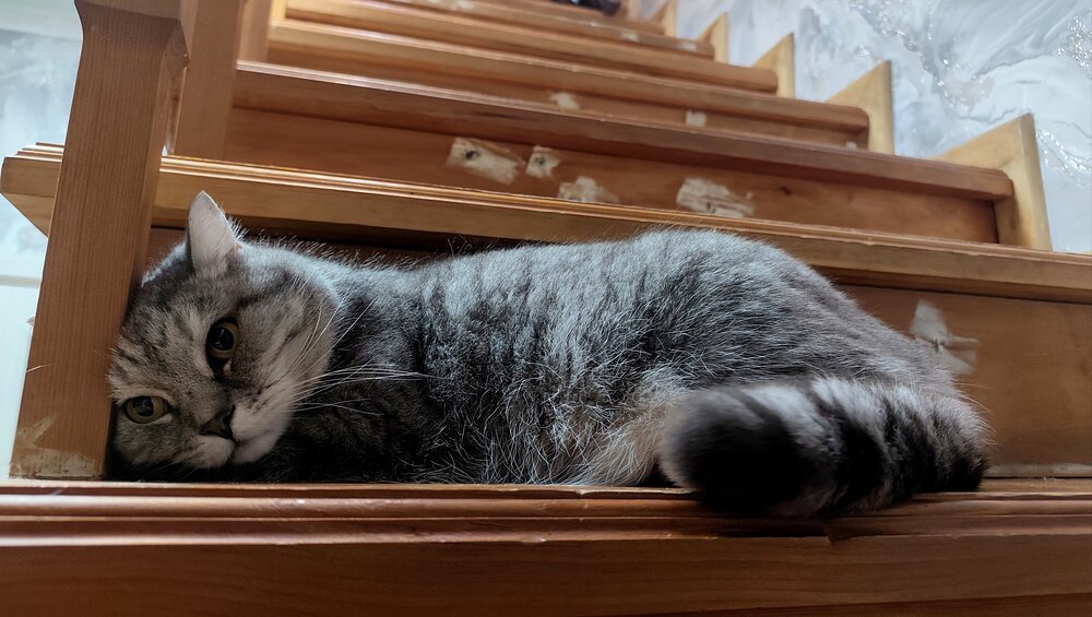 Photograph by Козлова Ольга