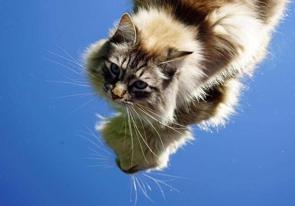 Photograph by Марина Виноградова