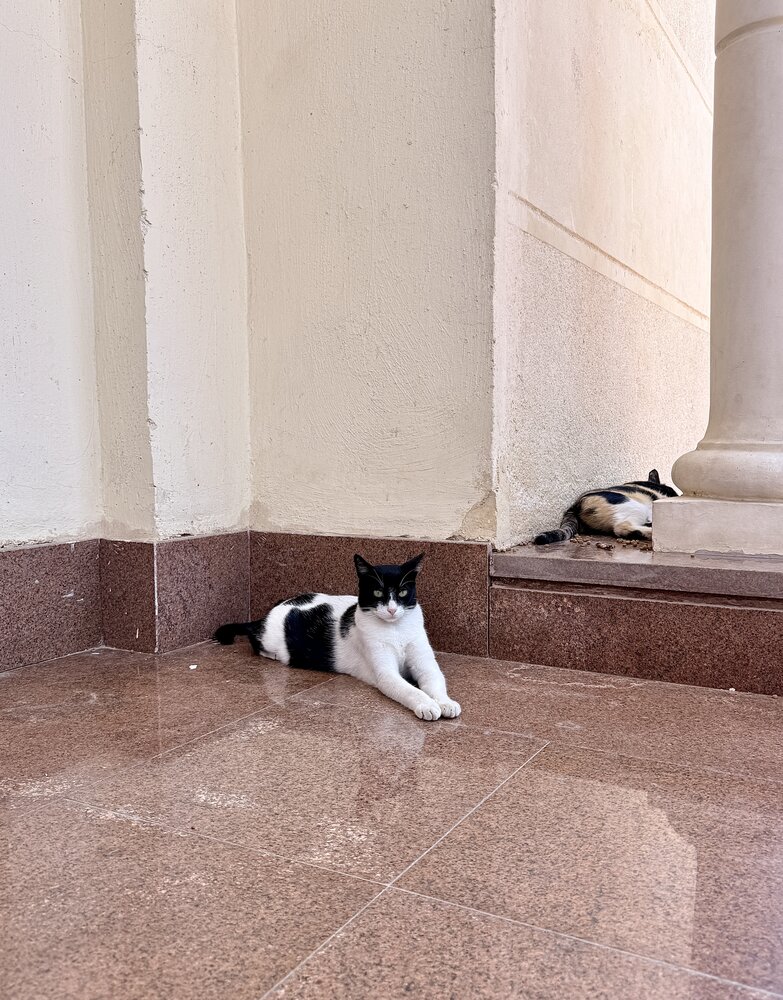 Photograph by Гуляева Светлана