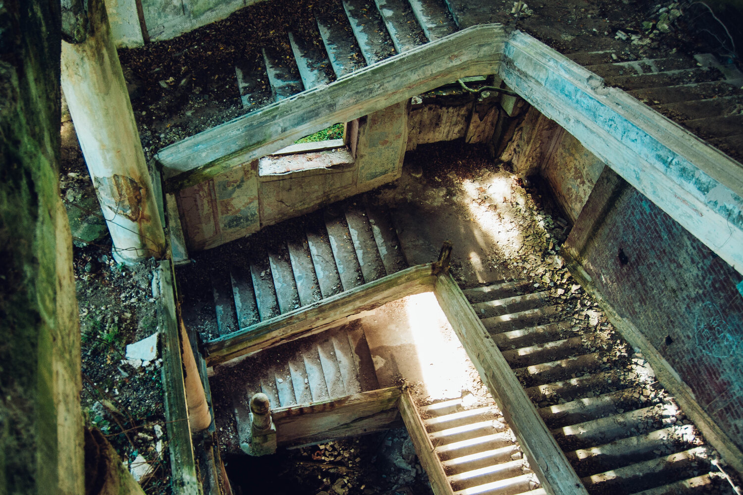 Photo #14055668