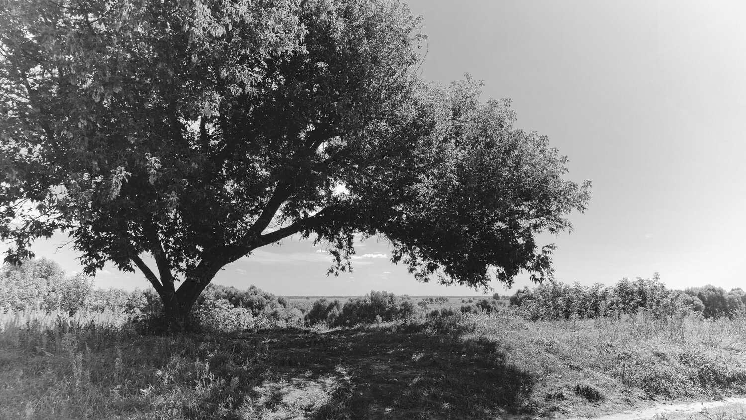 Photo #14055689