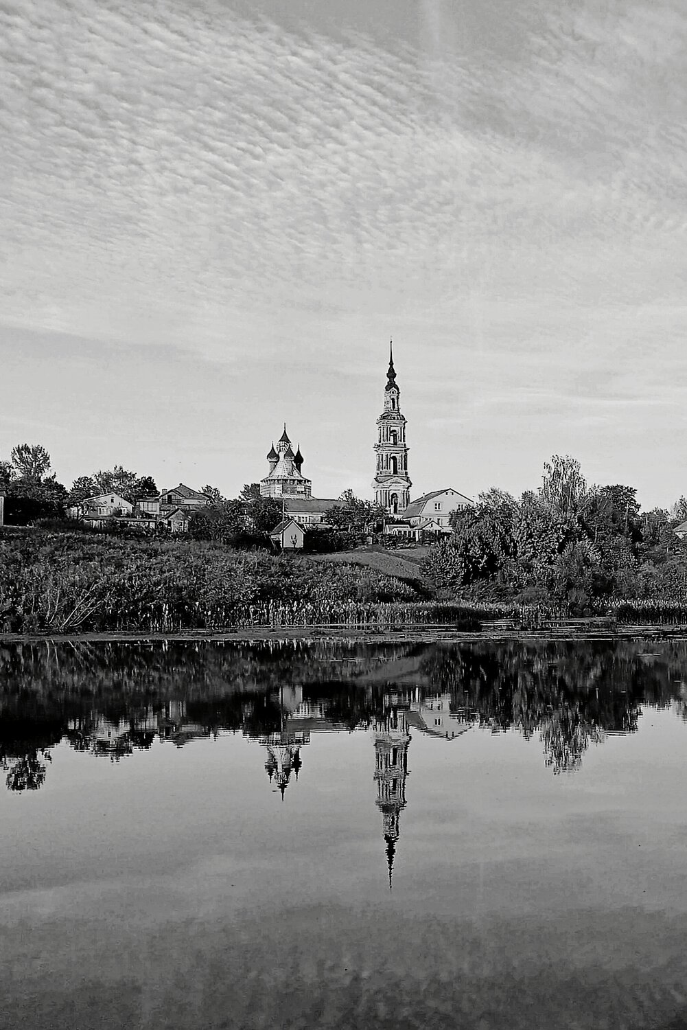 Photo #14055702
