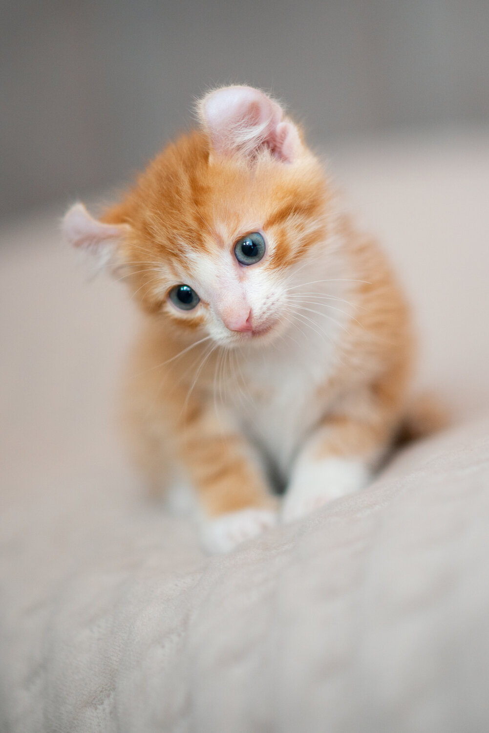 Photo #14055720