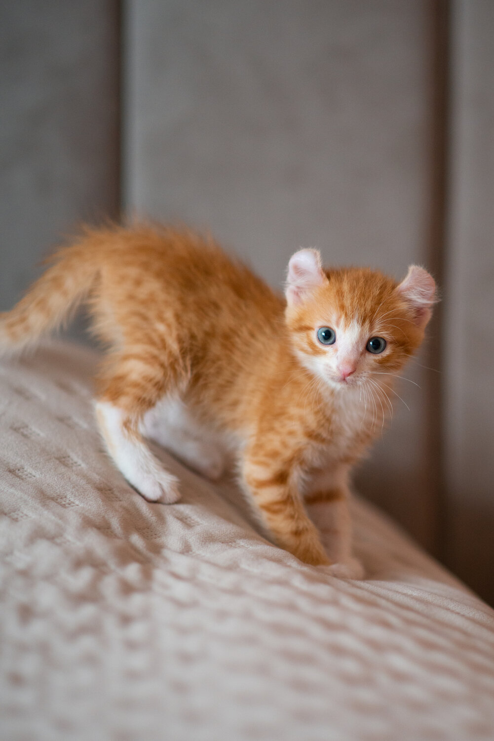 Photo #14055721
