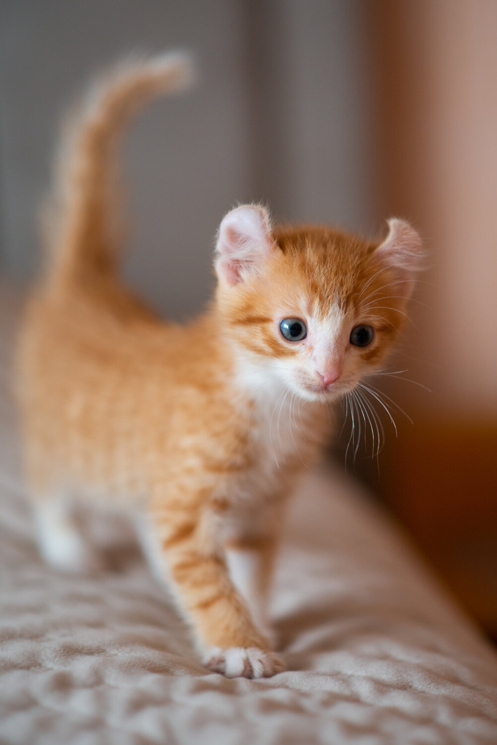 Photo #14055722