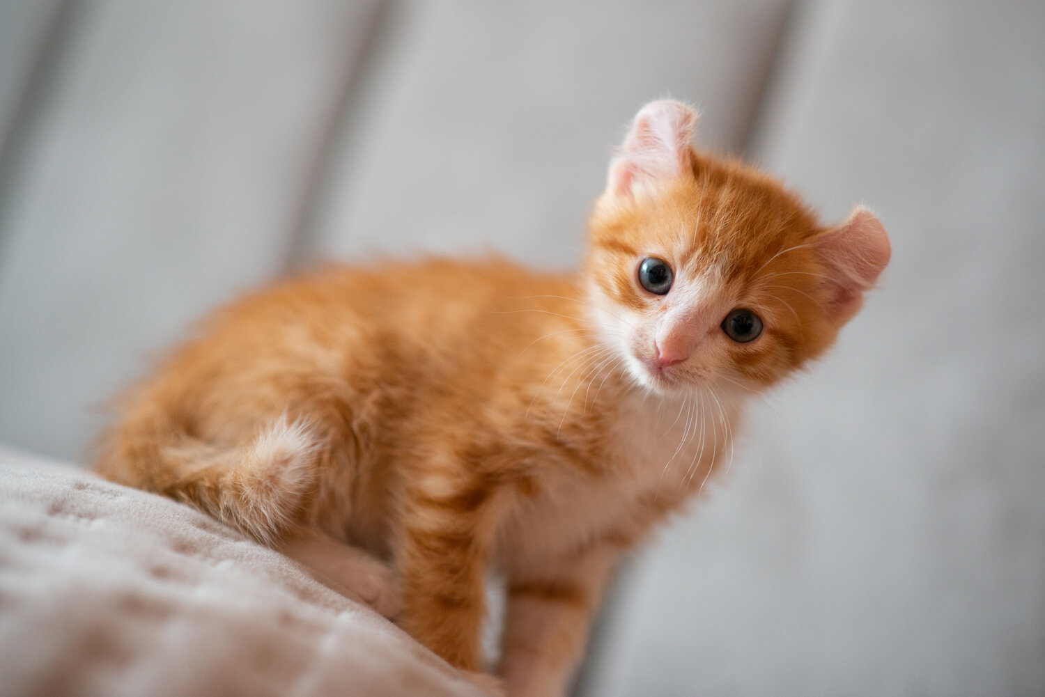 Photo #14055723