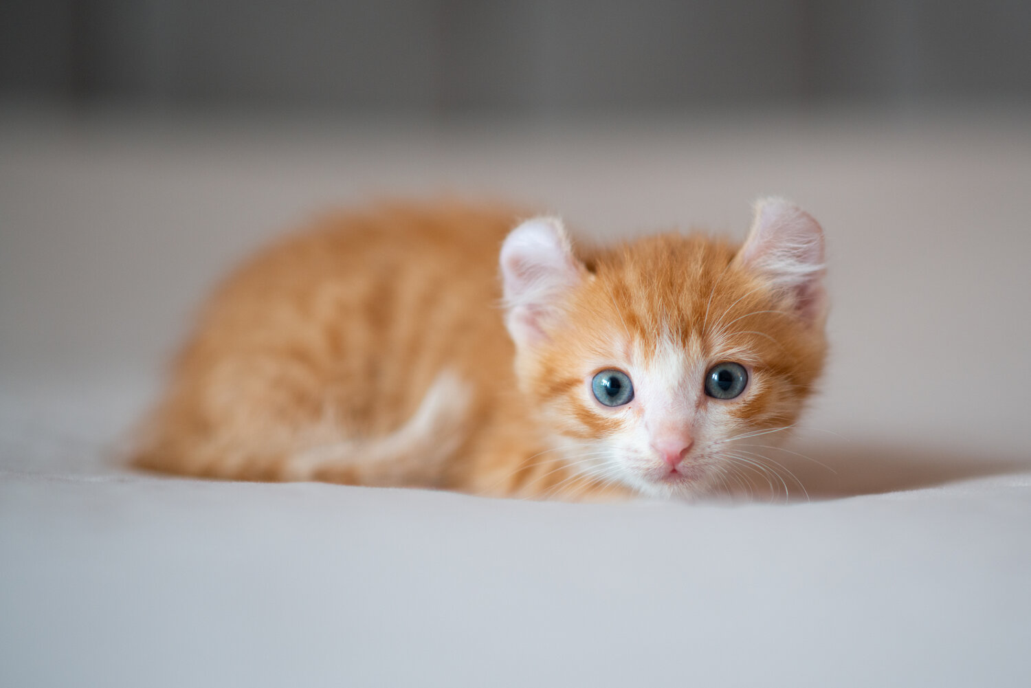 Photo #14055725