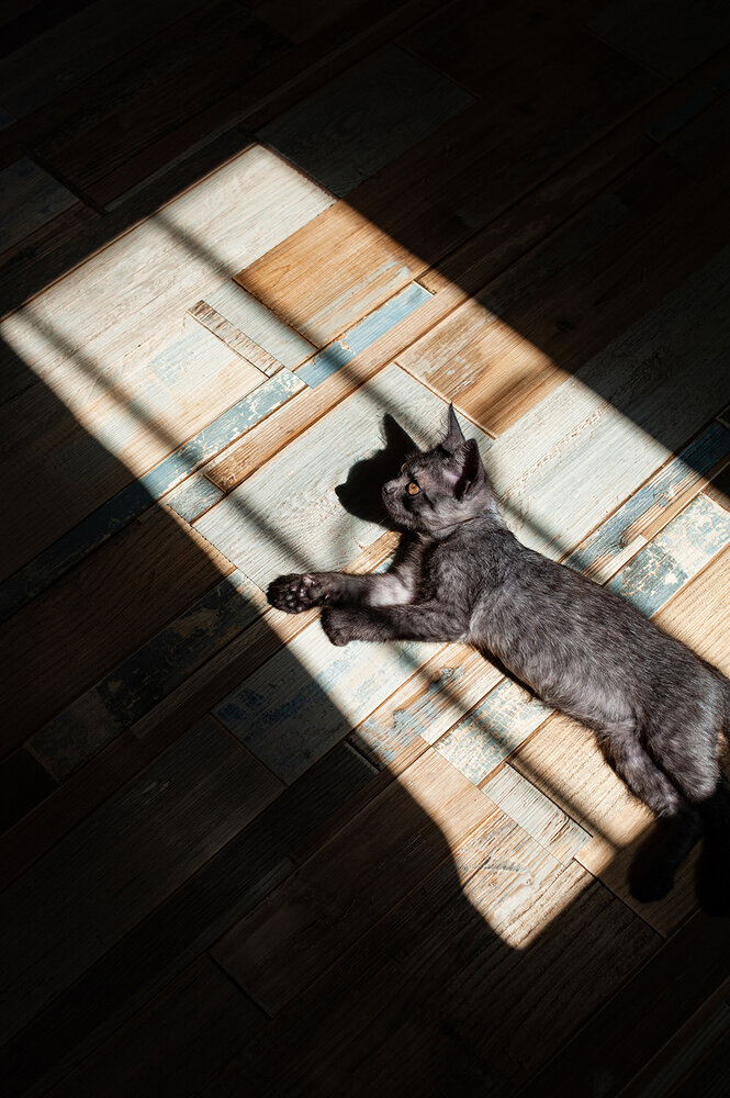 Photograph by Светлана Щемелева