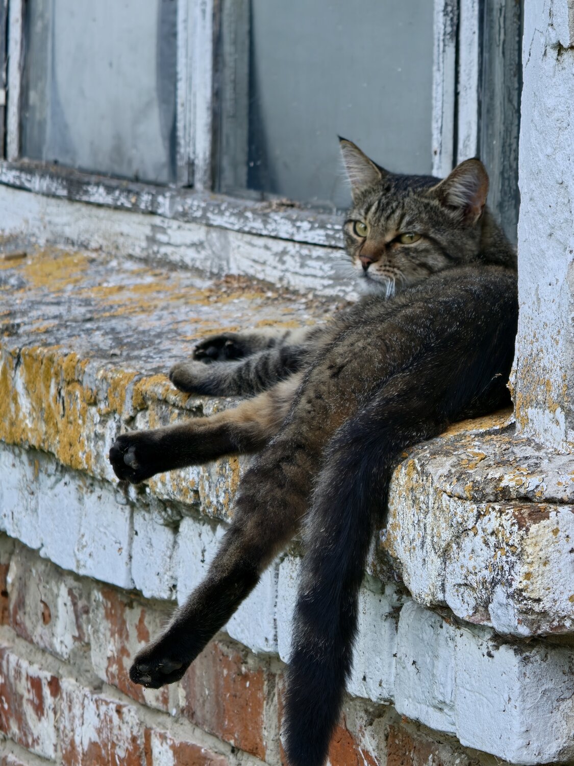 Photo #14055920