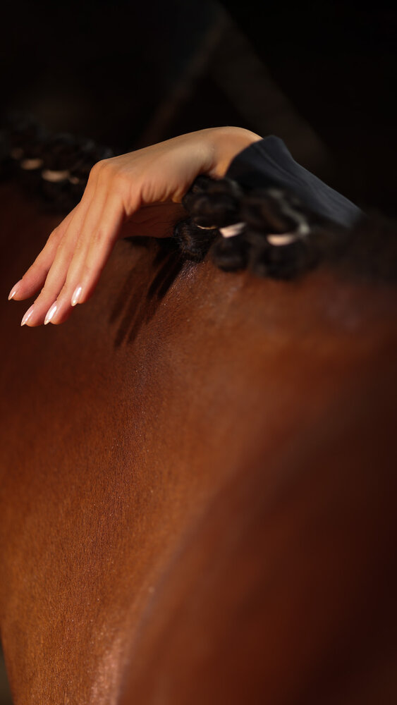 Horse feeling
