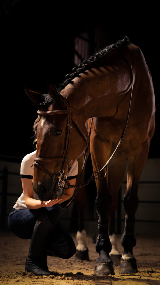 Horse feeling