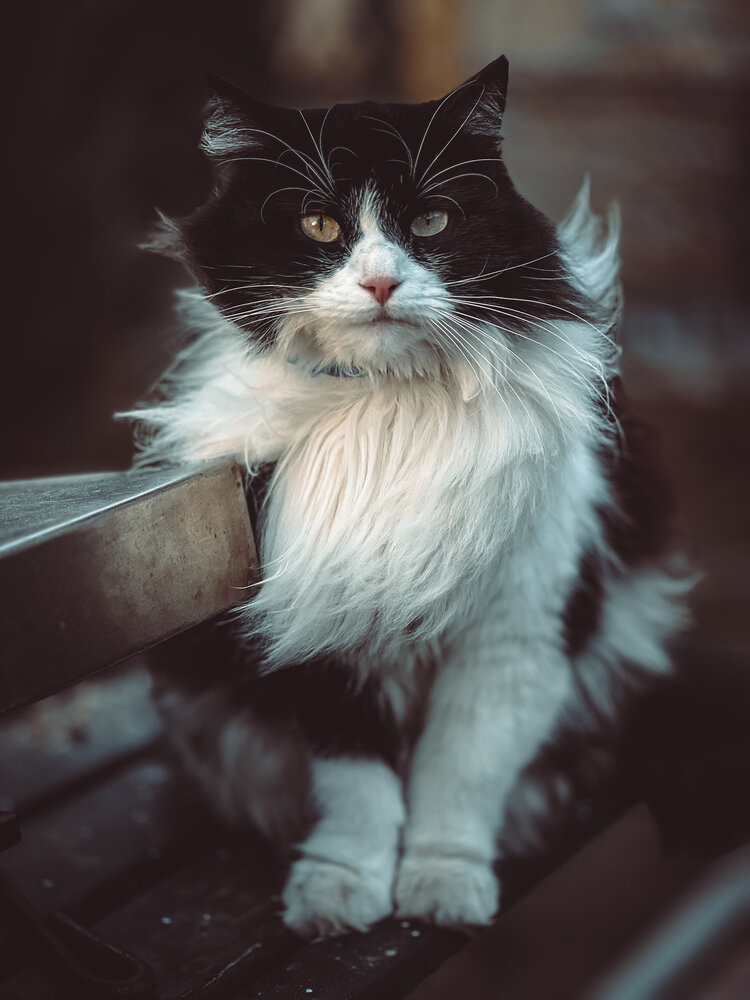 Photograph by Ольга Скиба