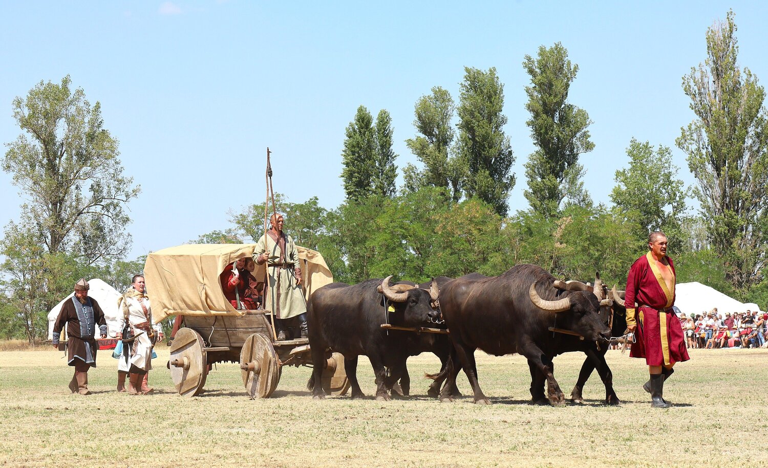 Photo #14056057