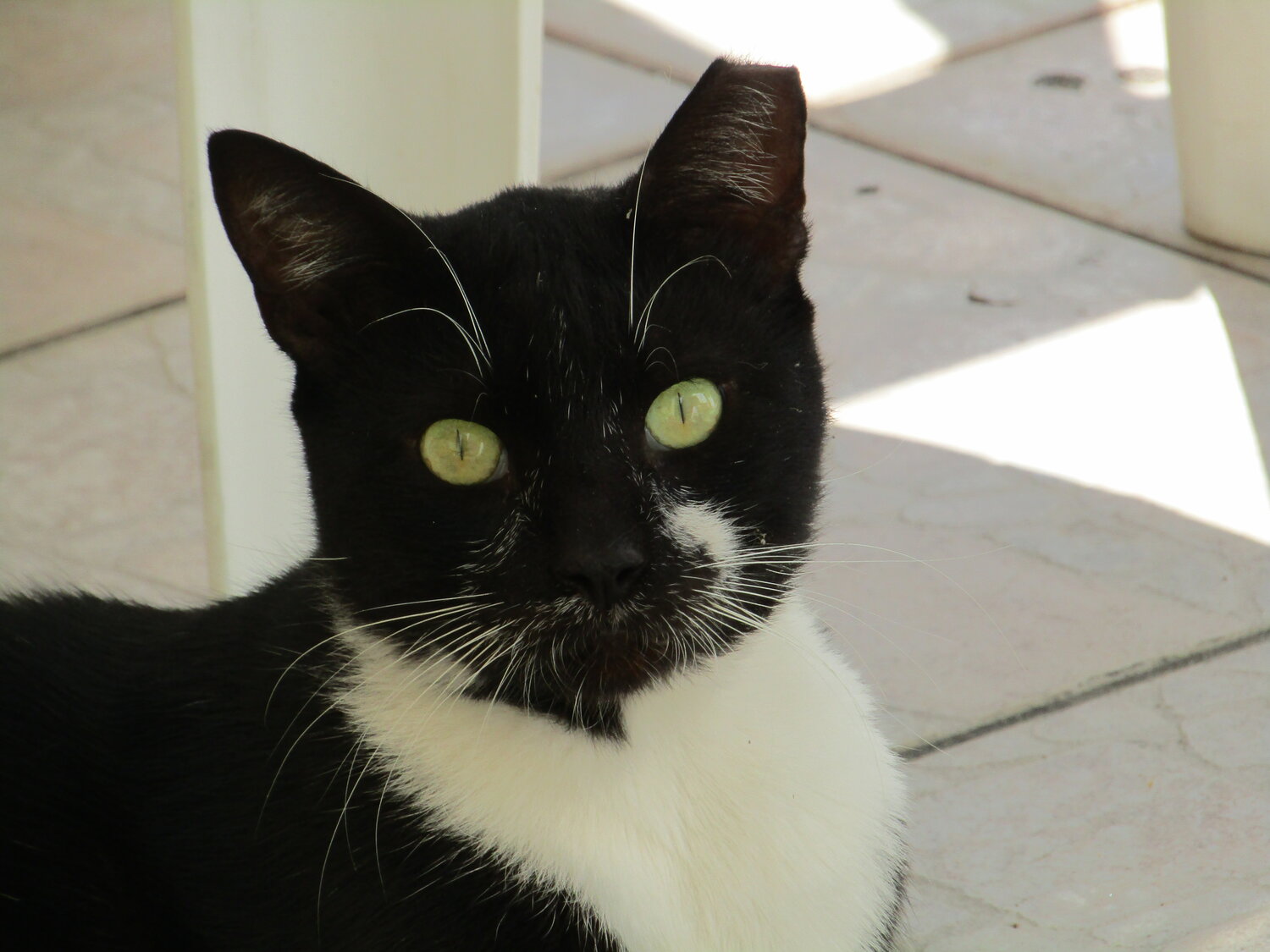 Photo #14056095