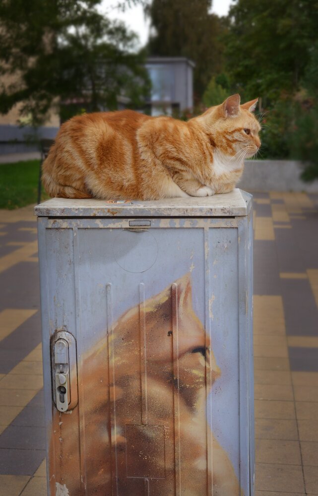 Photograph by Екатерина Валиуллина