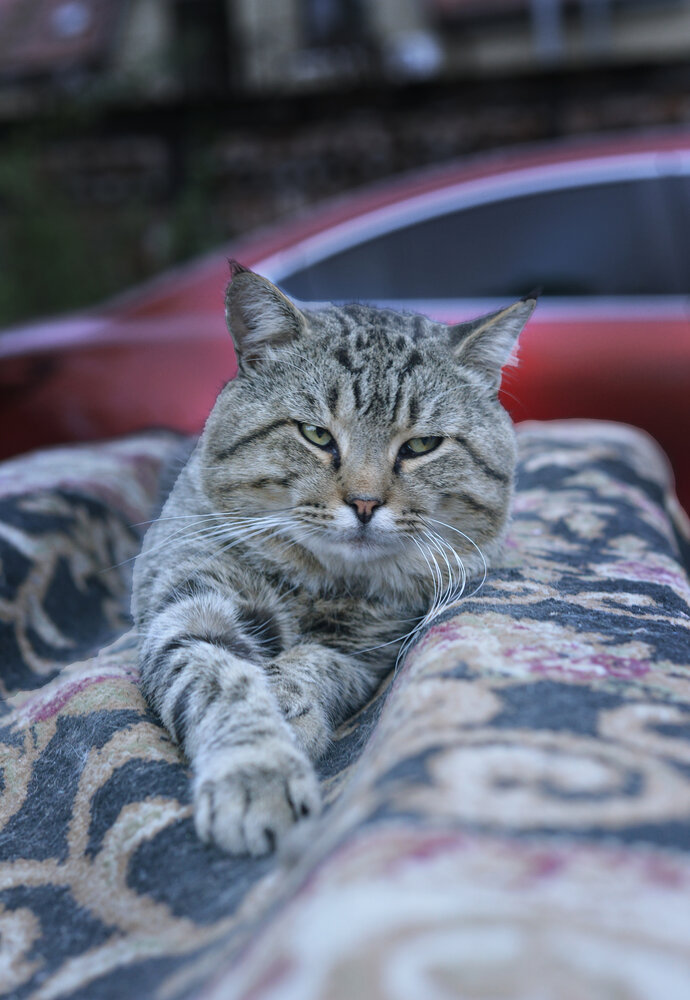 Photograph by Екатерина Валиуллина