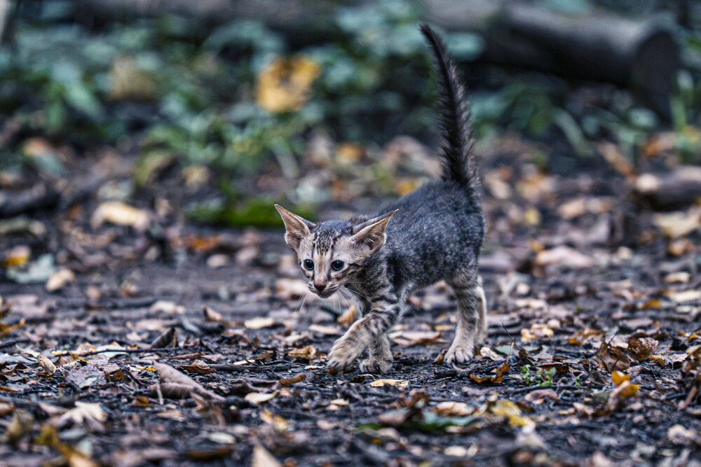 Photograph by Ивлев Артем
