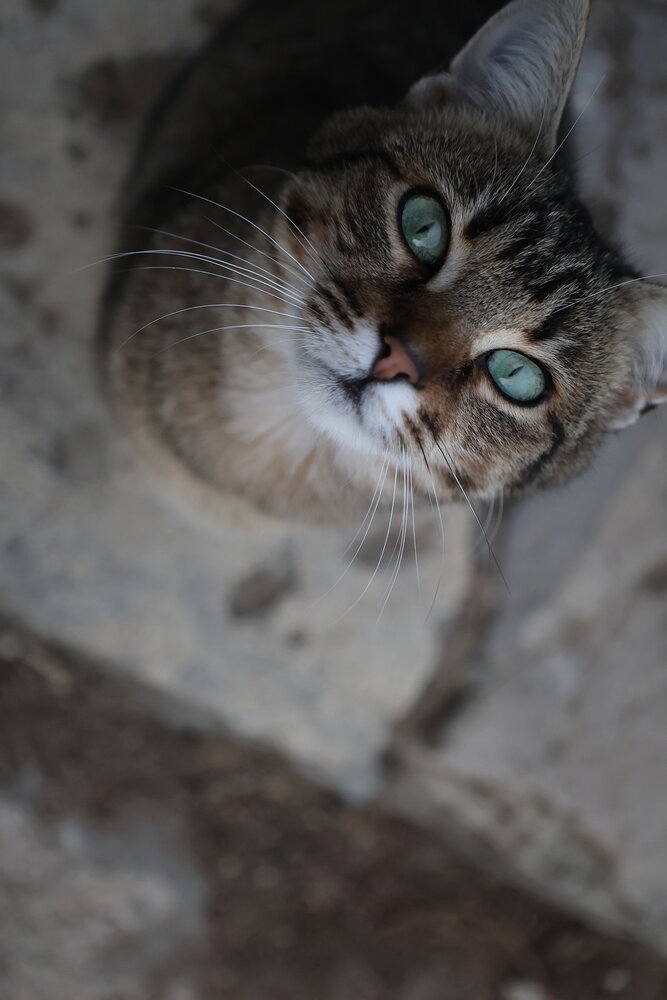 Photograph by Нина Михеева
