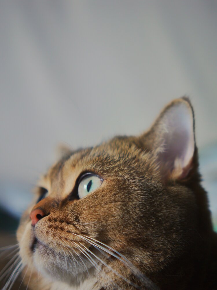 Photograph by Павел Стаценко