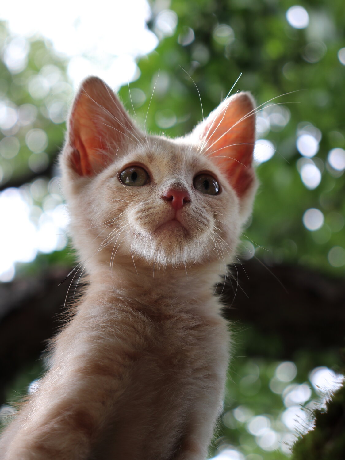 Photo #14056320