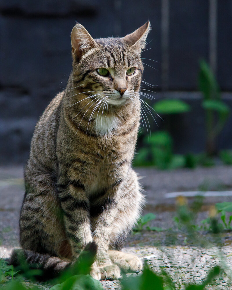 Photograph by Тоцкий Михаил